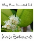 Bay Leaf (West Indies) Pure Essential Oil 10ml
